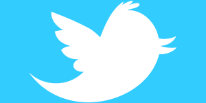 Twitter Logo -