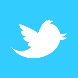 Twitter Logo - 