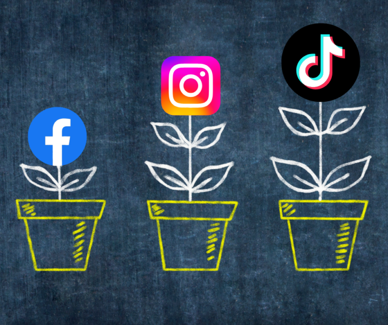 Social Media Managment